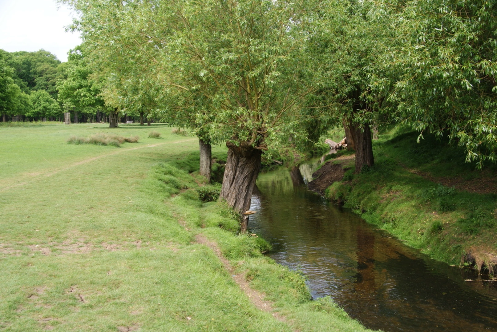 An image depicting the trail Beverley Brook Walk and its surrounding area.