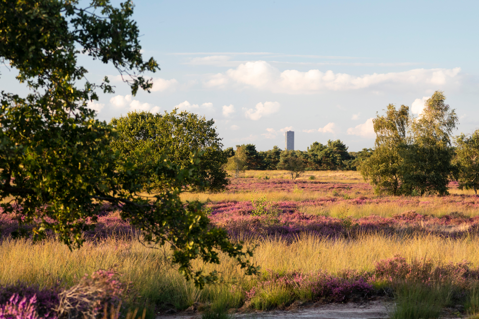 An image depicting the trail Drasse Driehoek to Turnhout via Alphen Chaam and its surrounding area.