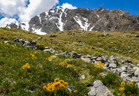 An image depicting the trail Torreys Peak and Grays Peak Trail and its surrounding area.
