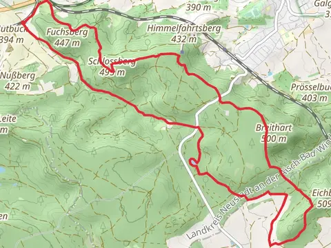 Schlossberg and Breithart Loop