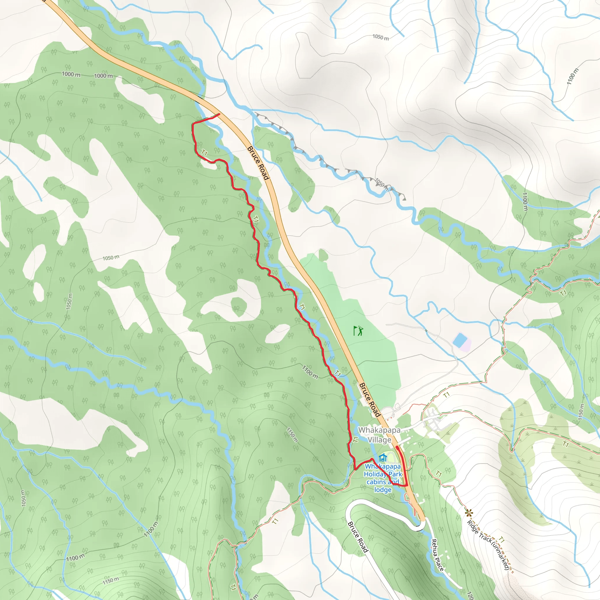 Whakapapanui Track mobile static map