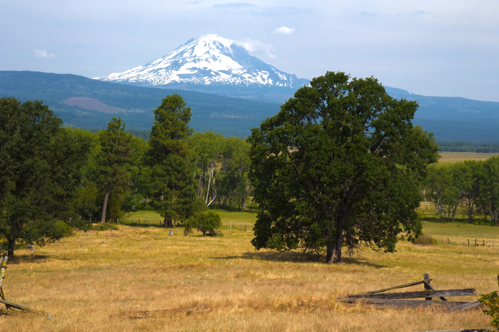 An image depicting the trail Mcclellan Meadows Trail and its surrounding area.