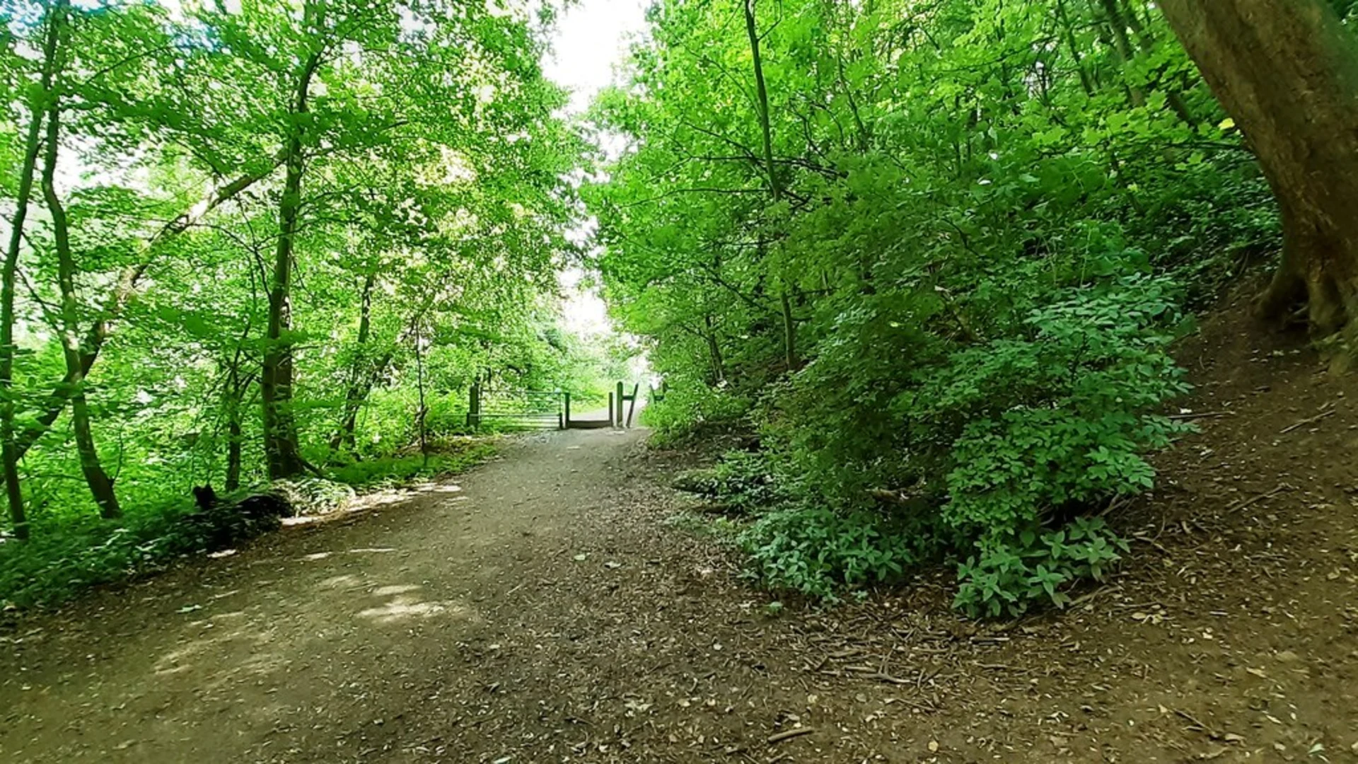 An image depicting the trail River Trent Short Loop and its surrounding area.
