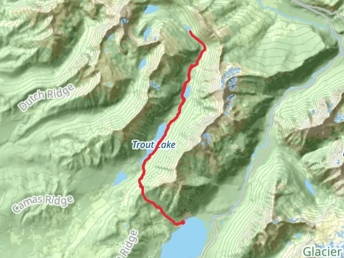 An image depicting the trail Camas Lake via West Lakes and its surrounding area.