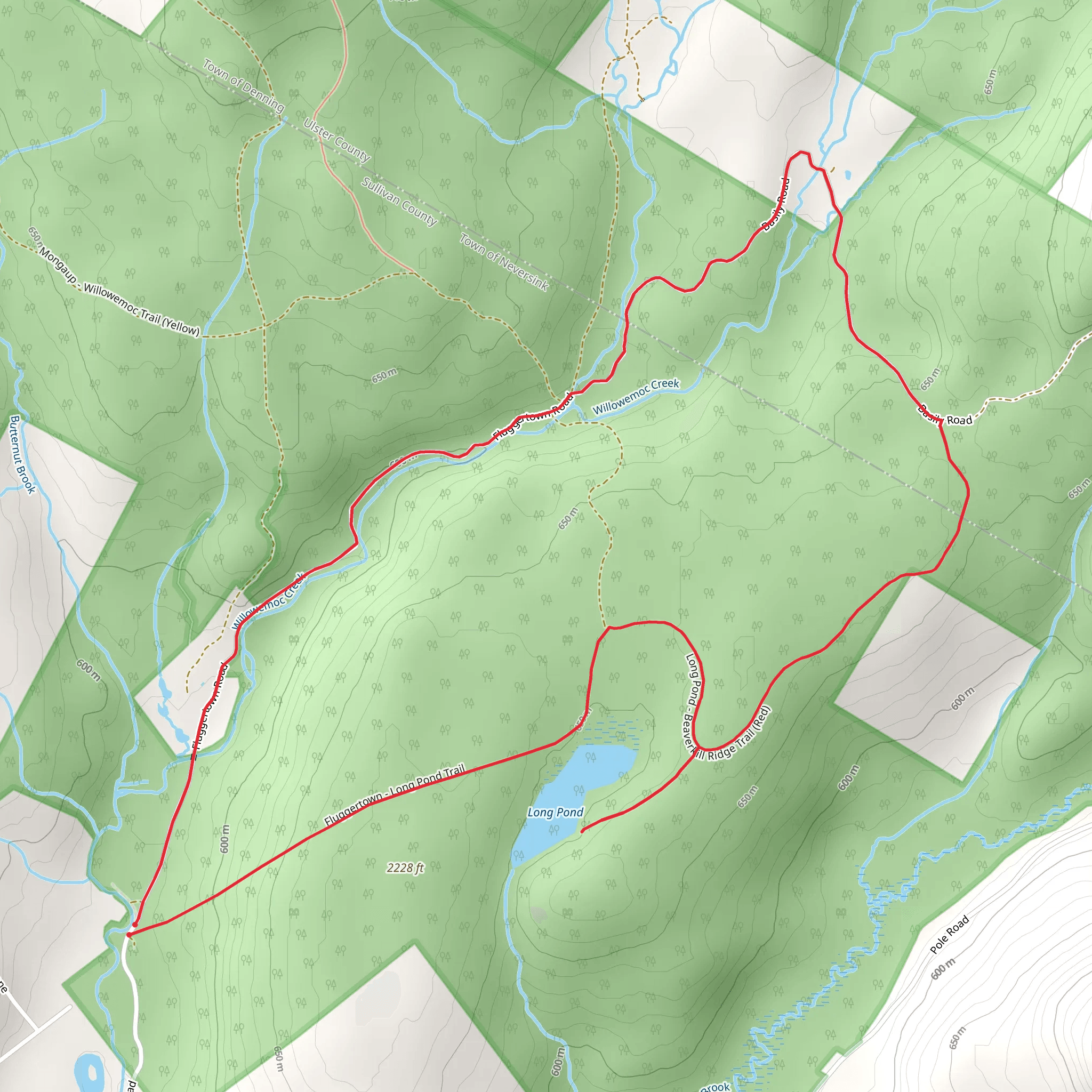 Snowmobile and Long Pond Loop Trail mobile static map
