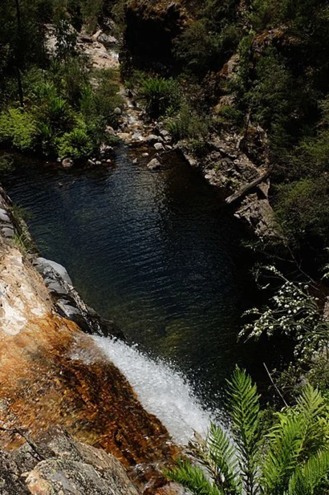 Rollasons Falls Walk