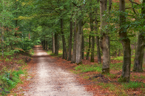 Loenenseweg, Beekbergerweg and Lange Juffer Loop