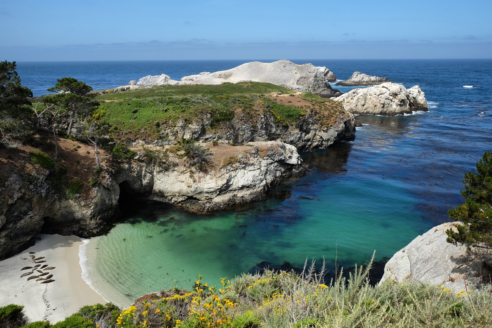 An image depicting the trail Sand Hill Trail and Sea Lion Point Trail Loop and its surrounding area.