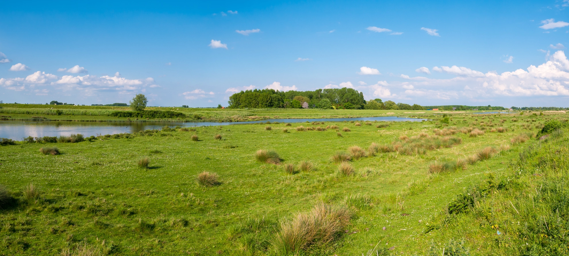 An image depicting the trail Korevaar, Plas van van Wijck, Ochtensche Buitenpolder and Bemmelsche Loop and its surrounding area.
