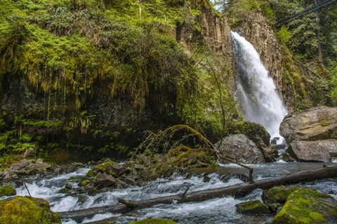 An image depicting the trail Drift Creek Falls Trail and its surrounding area.