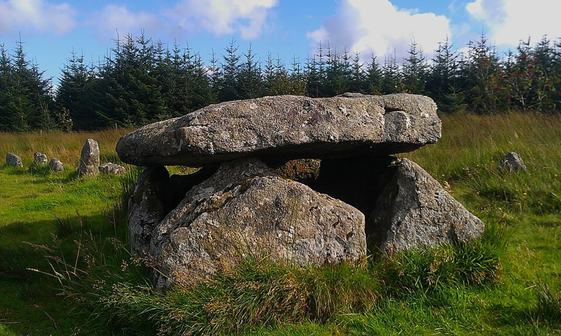 An image depicting the trail Postbridge Trail and its surrounding area.