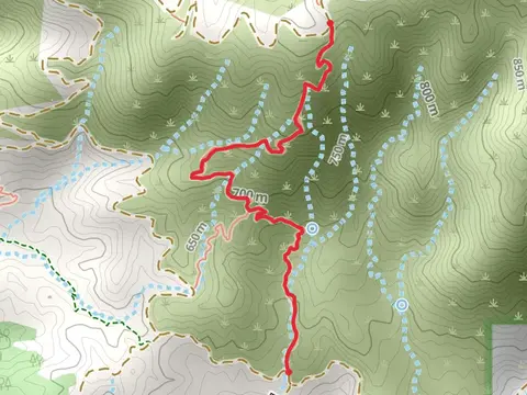 Fascination Springs Trail