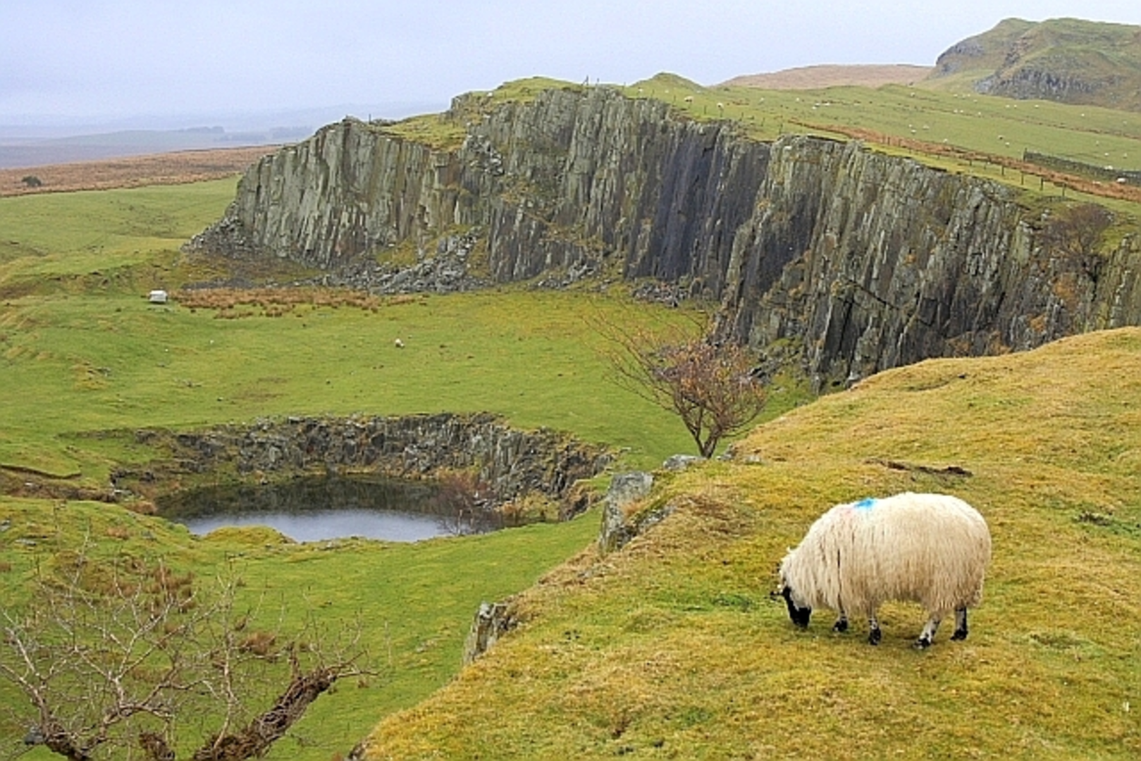 An image depicting the trail Walltown Crags Loop and its surrounding area.
