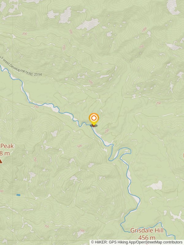 Lower Sf Skokomish - Lebar Creek Trail mobile static map