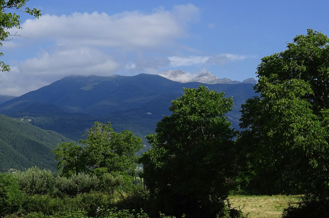 Overpass Trails PR HU 3