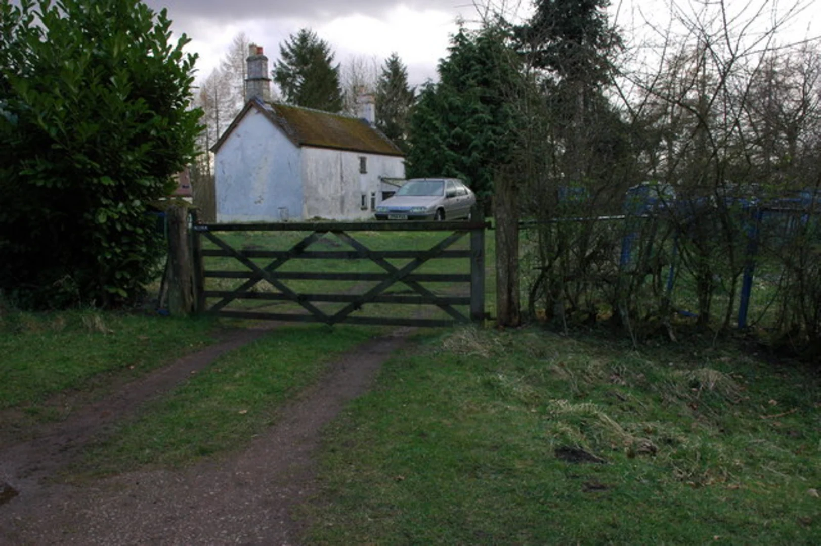 An image depicting the trail Mailscot Wood and its surrounding area.