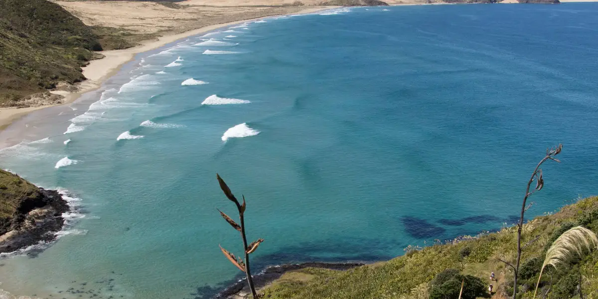 Te Werahi Beach Track