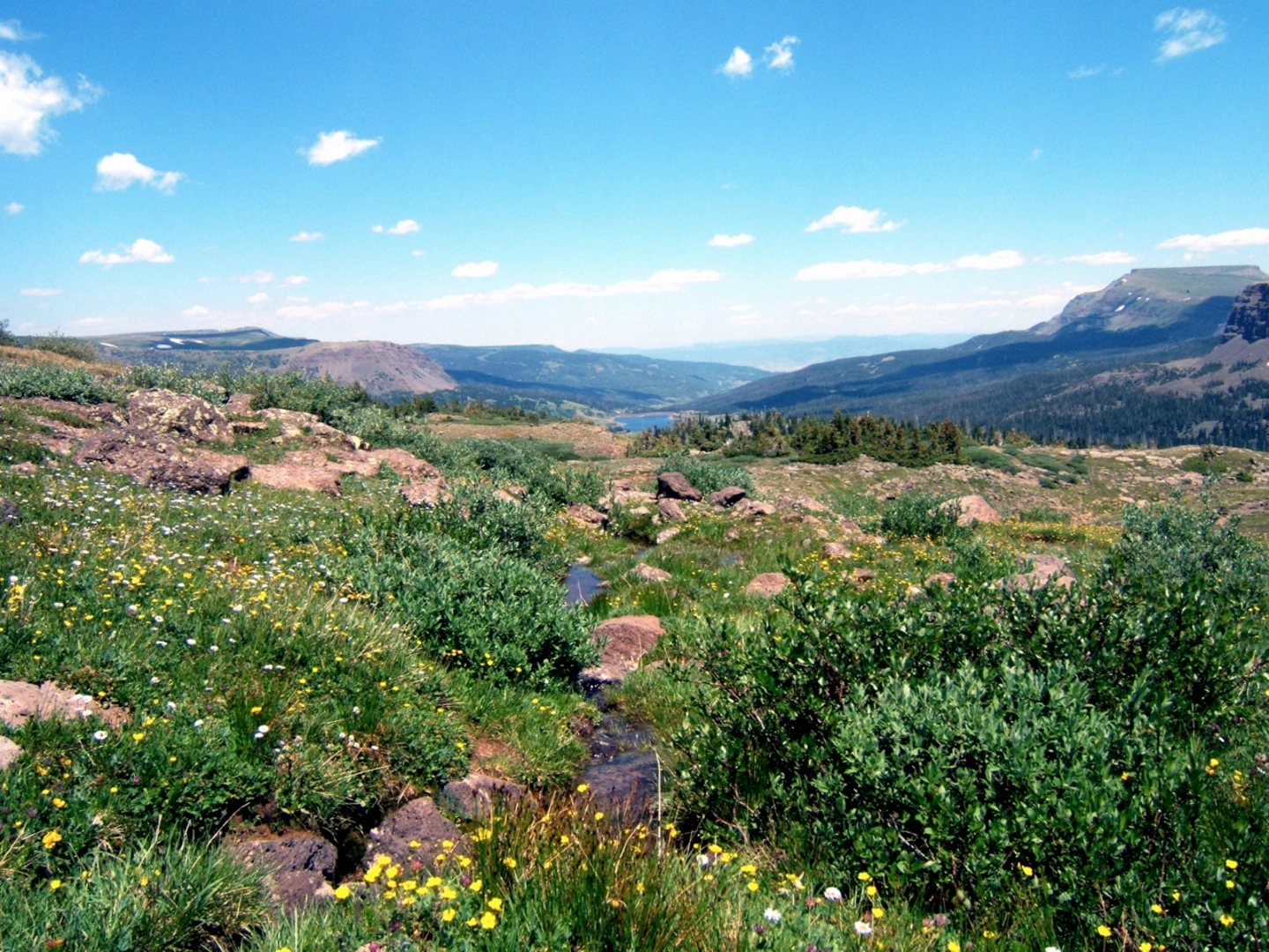 An image depicting the trail Hooper Lake Trail and its surrounding area.