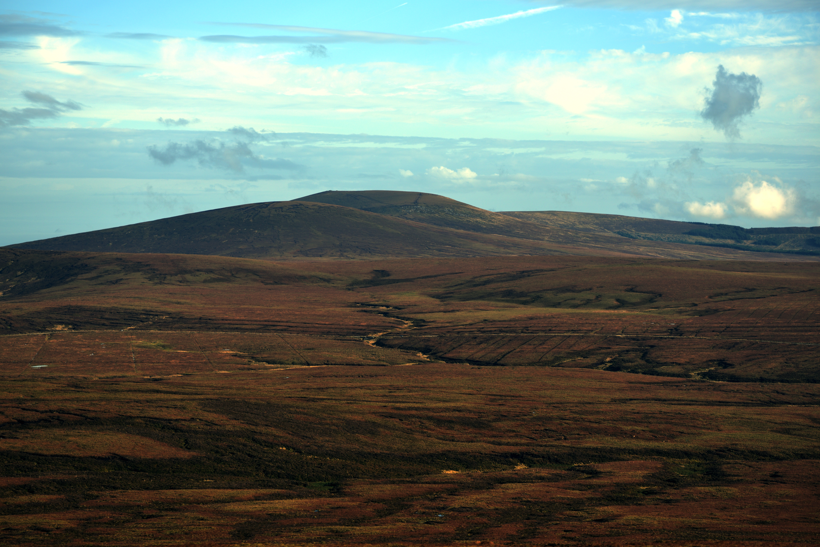 An image depicting the trail War Hill from Ballinastoe Wood and its surrounding area.