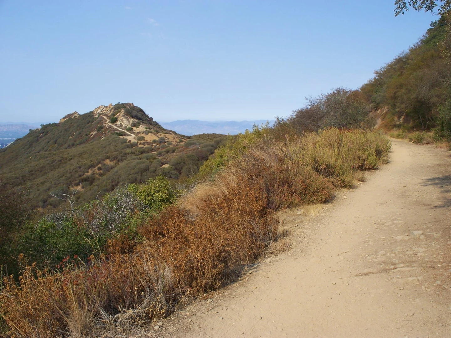 An image depicting the trail Backbone Trail from Old Topanga Canyon Road and its surrounding area.