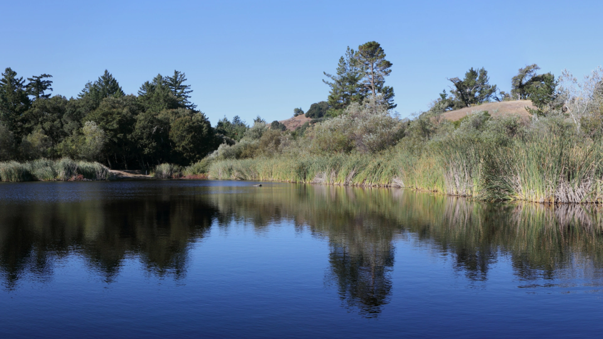 An image depicting the trail Ipiwa Trail and Alpine Pond Trail and its surrounding area.