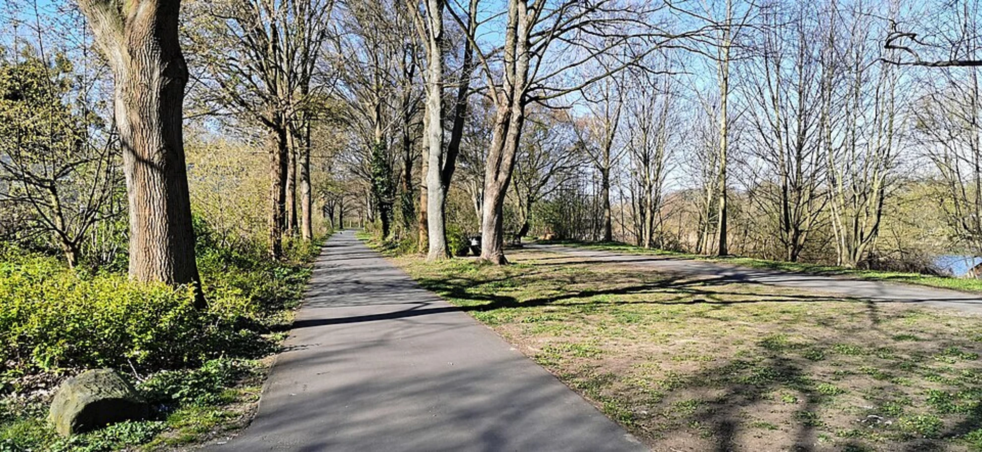 An image depicting the trail Zur Schwanenburg and its surrounding area.