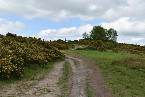 An image depicting the trail Guiseley and West Carlton Loop and its surrounding area.