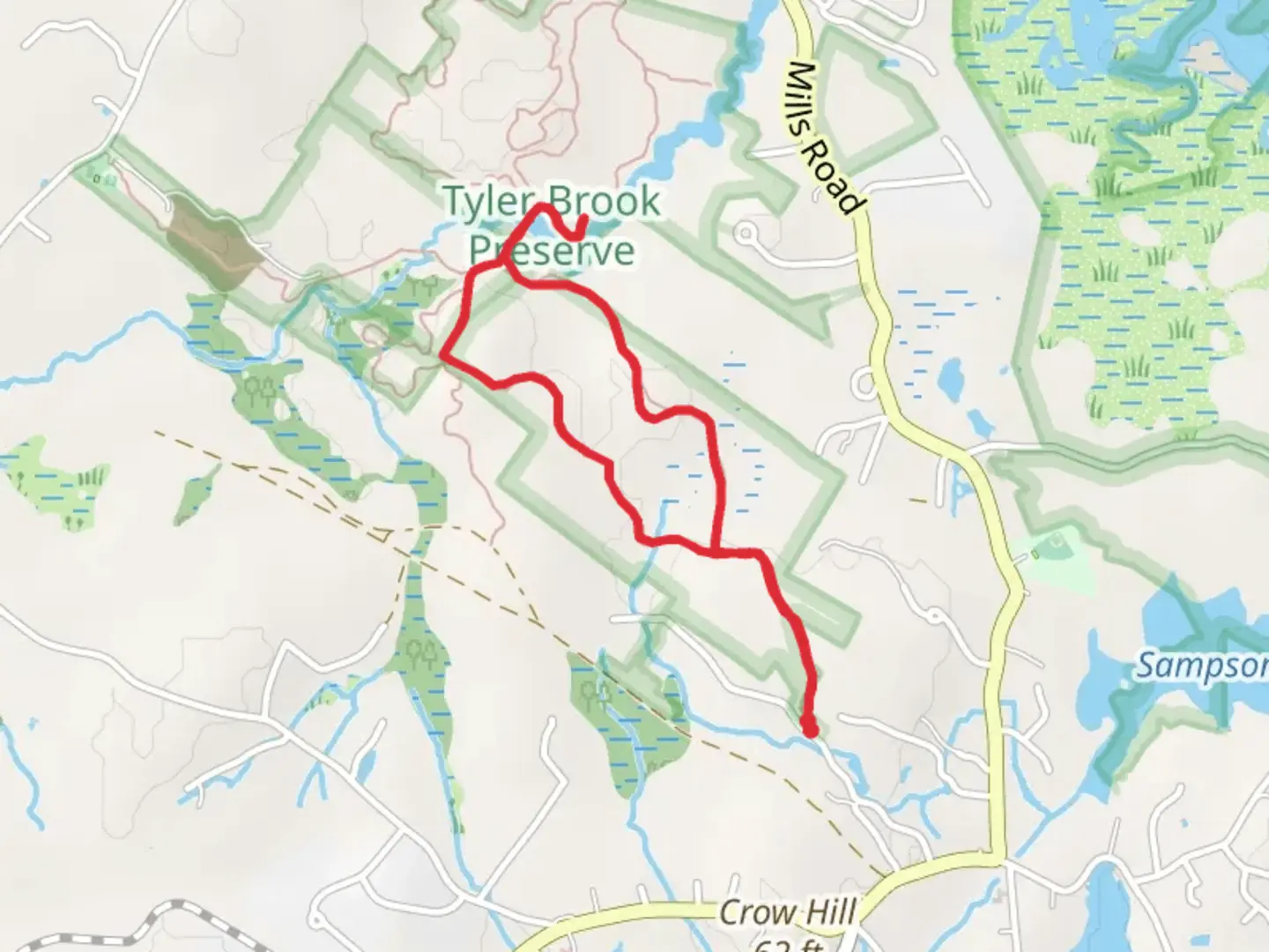 An image depicting the trail Tyler Brook Loop from Clement Huff Road and its surrounding area.