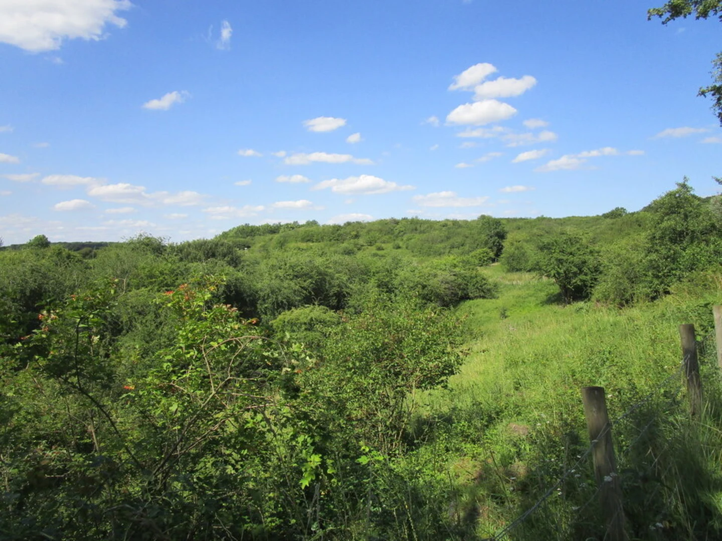 An image depicting the trail Fermyn Woods and its surrounding area.