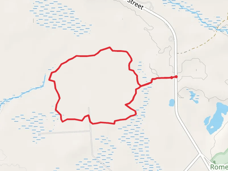 West Thomas Street Loop