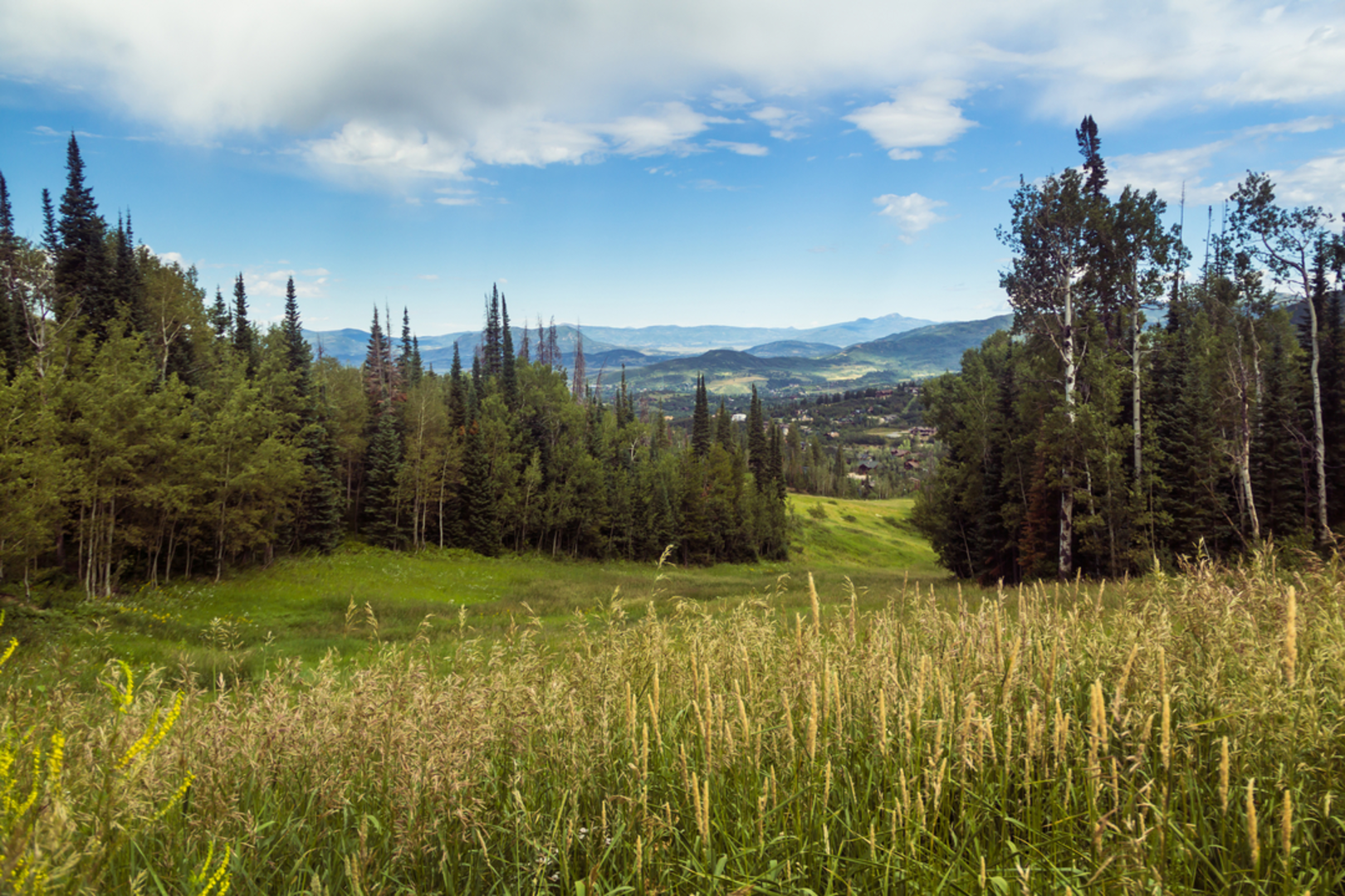 An image depicting the trail Pete's Wicked Trail and its surrounding area.