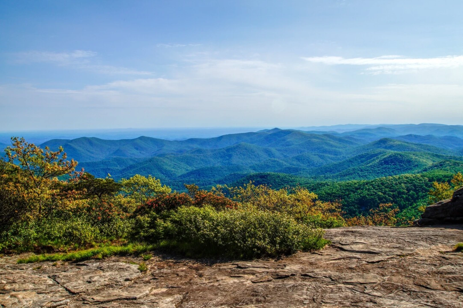 An image depicting the trail Blood Mountain - Freeman - Byron Herbert Reece Loop and its surrounding area.