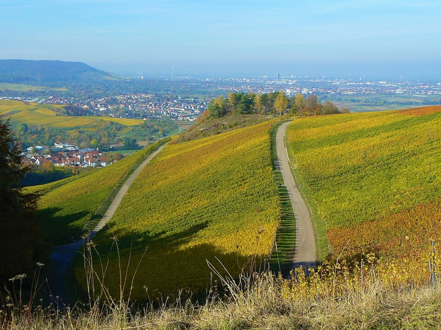 An image depicting the trail Karlstein, Großmoddereiche and Die Diebeskuhlen Loop and its surrounding area.