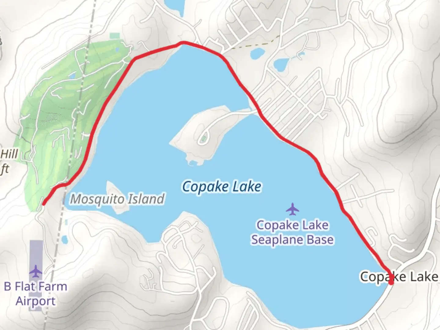 An image depicting the trail Walk along Copake Lake and its surrounding area.