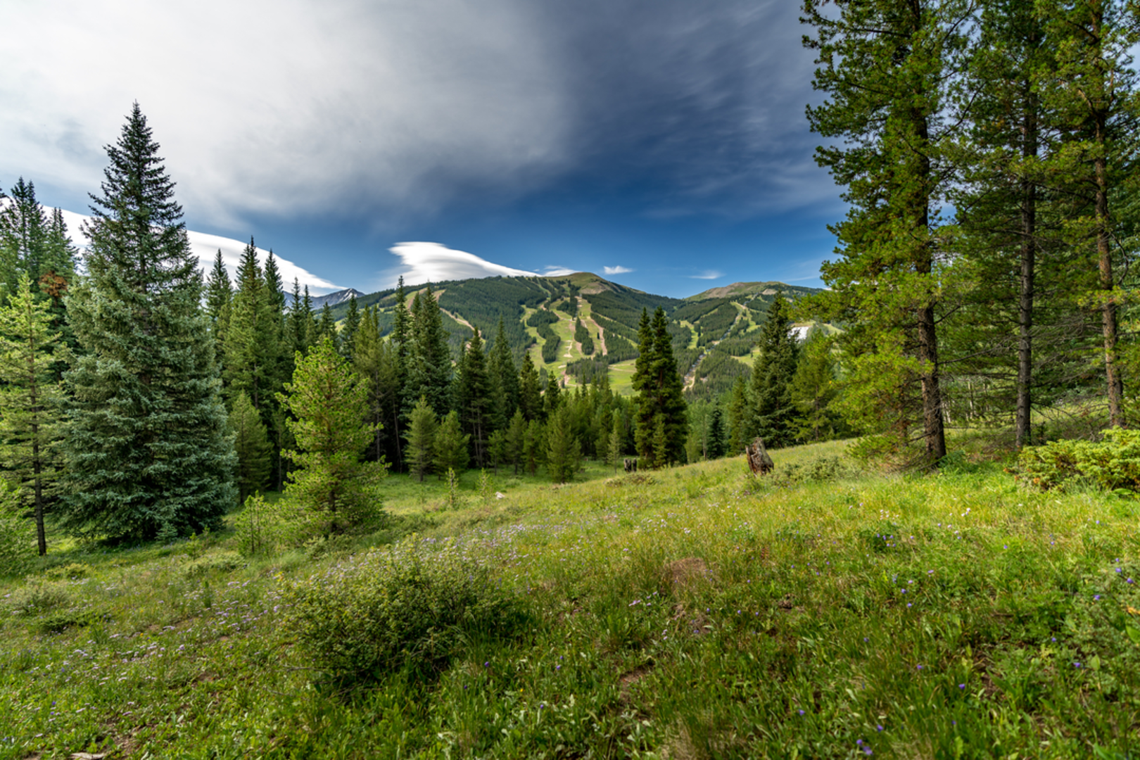 An image depicting the trail Wheeler National Recreation Trail and its surrounding area.