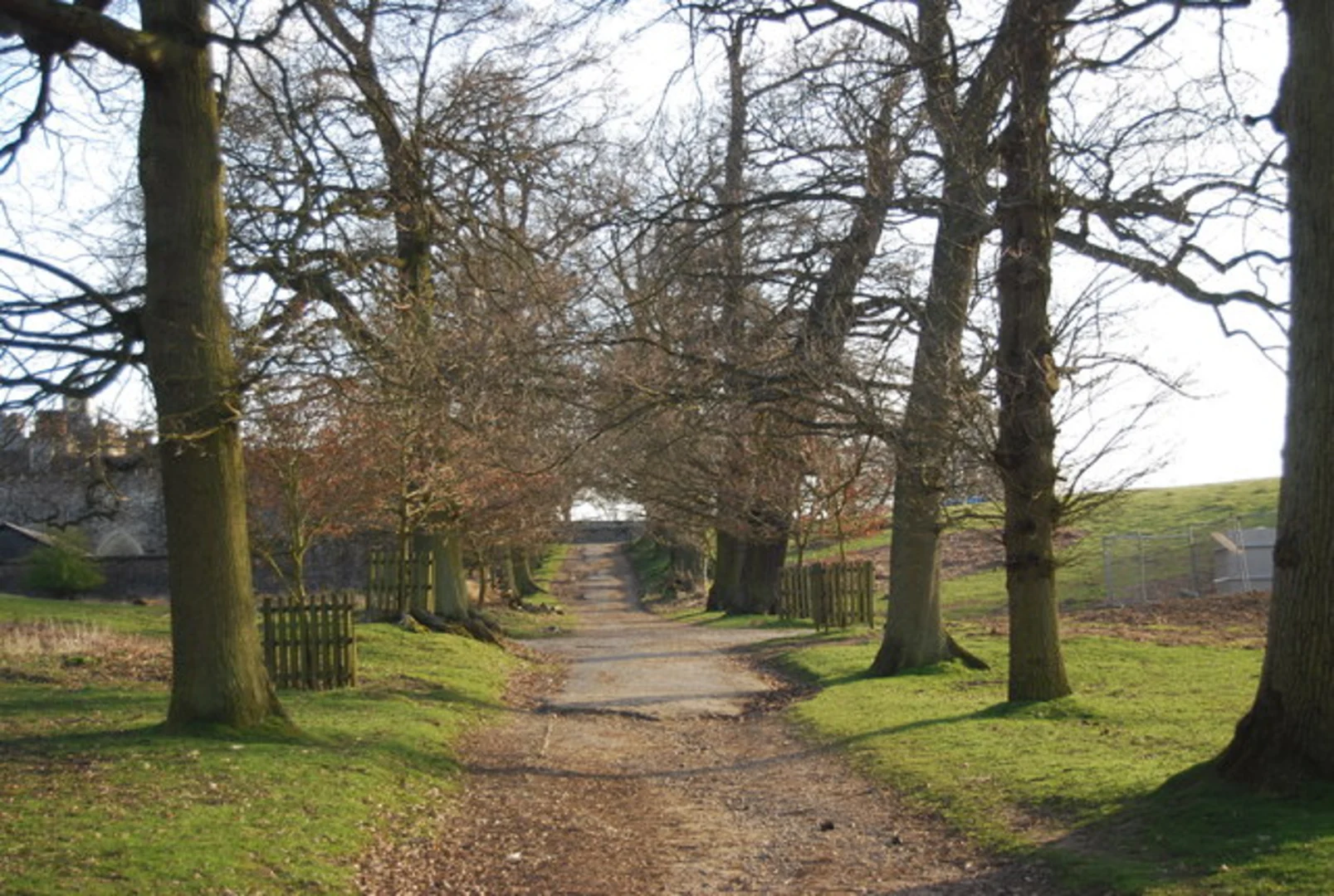 An image depicting the trail Knole Park Duchess Loop and its surrounding area.