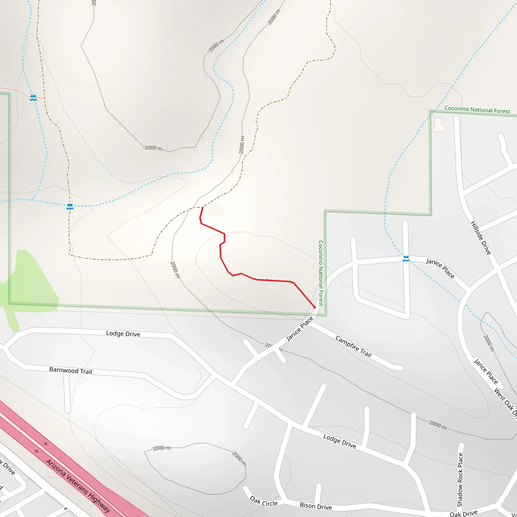 Janice Place Trail mobile static map