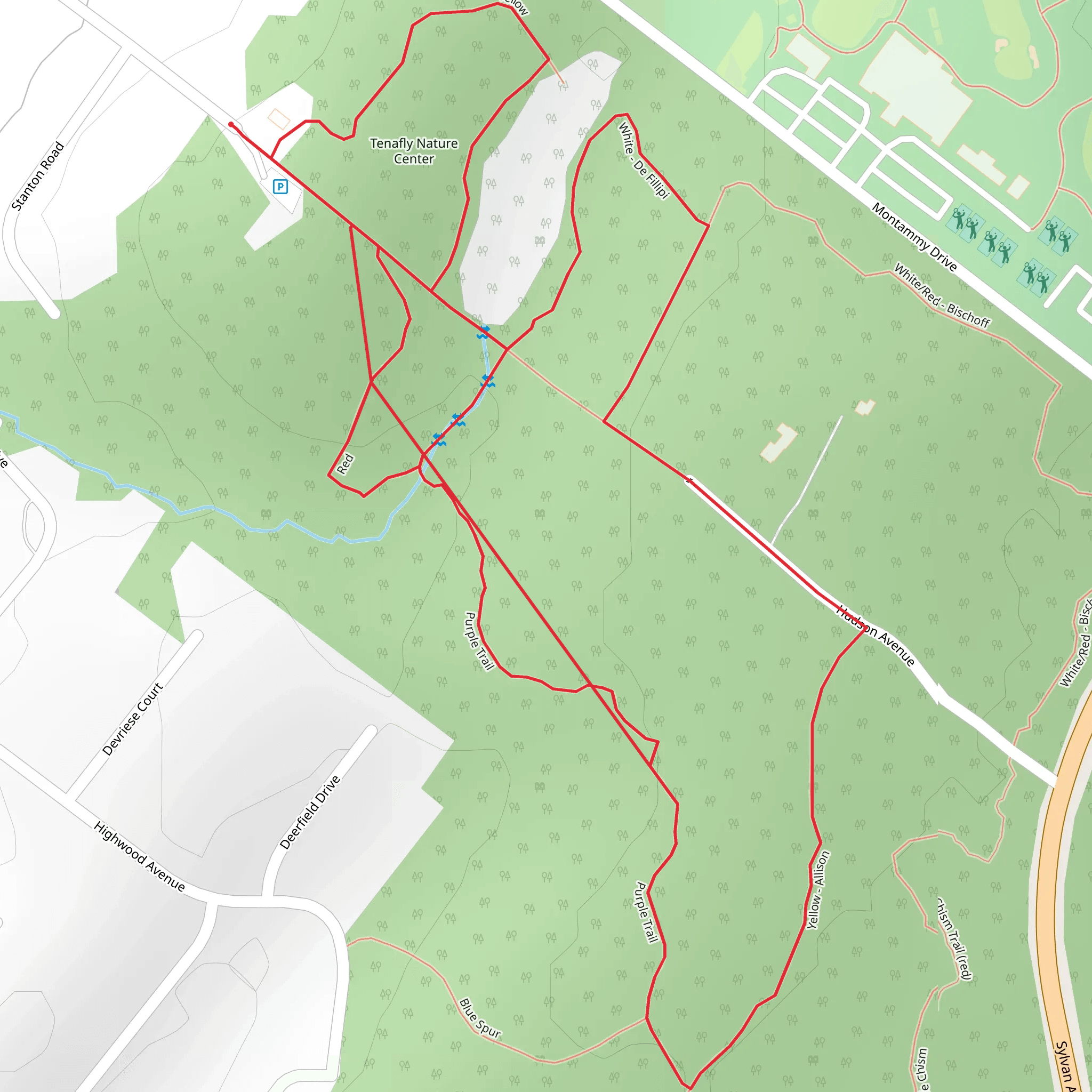 White - De Fillipi and Purple Loop Trail mobile static map