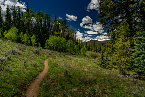 An image depicting the trail Blair Witch via Soda Creek Trail and its surrounding area.