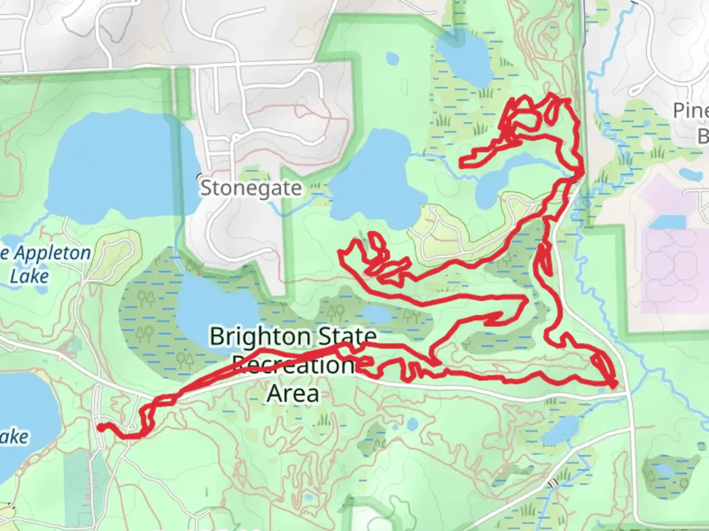 An image depicting the trail Murray Lake - Lost Loop and its surrounding area.