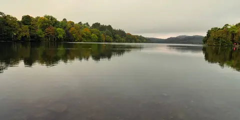 An image depicting the trail Castlewellan Forest Park - Cypress Pond Walk and its surrounding area.