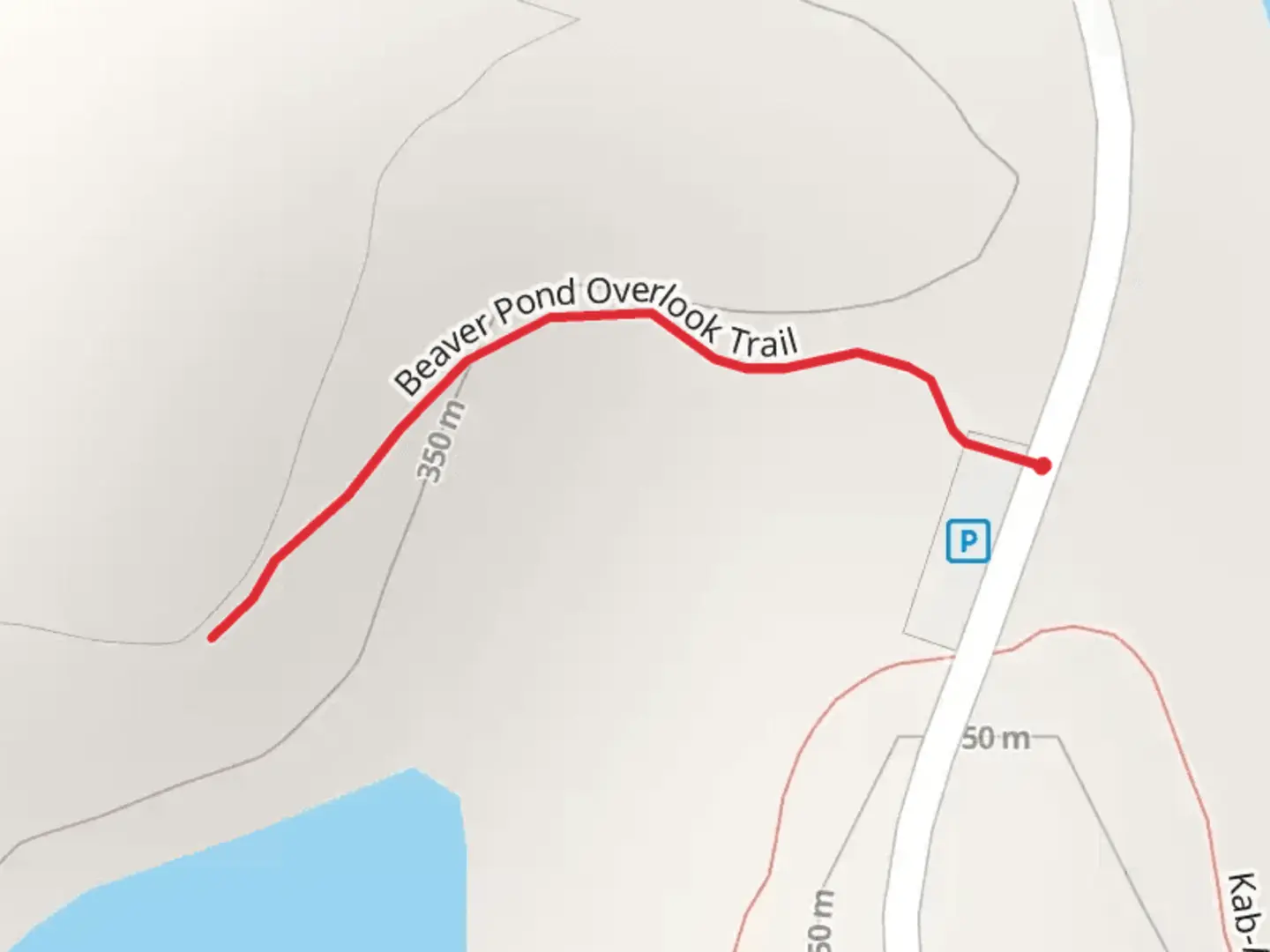 An image depicting the trail Beaver Pond Overlook Trail and its surrounding area.