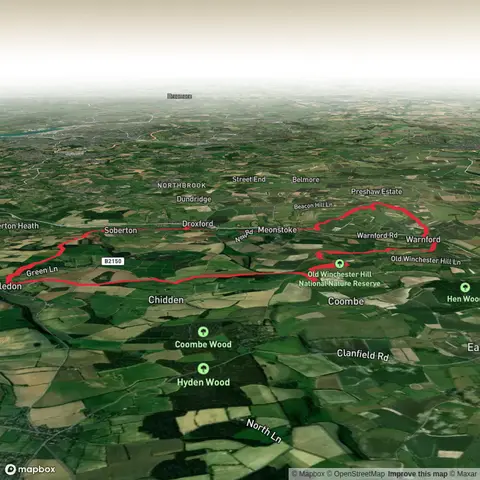 Old Winchester Hill, Beacon Hill Beeches and Soberton Down Loop