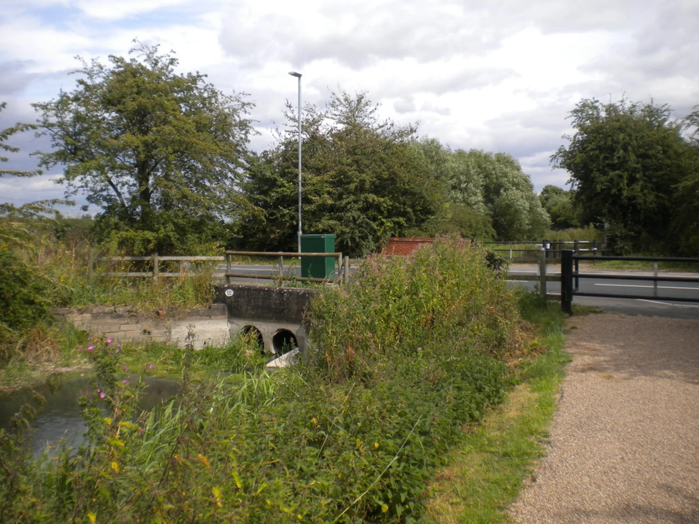 An image depicting the trail Heron Lake and Leaky Hollow Loop and its surrounding area.