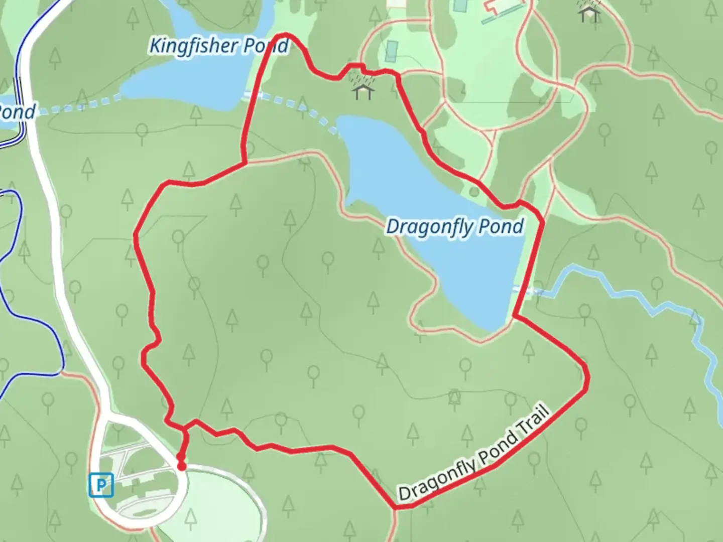 An image depicting the trail Dragonfly Pond Loop and its surrounding area.