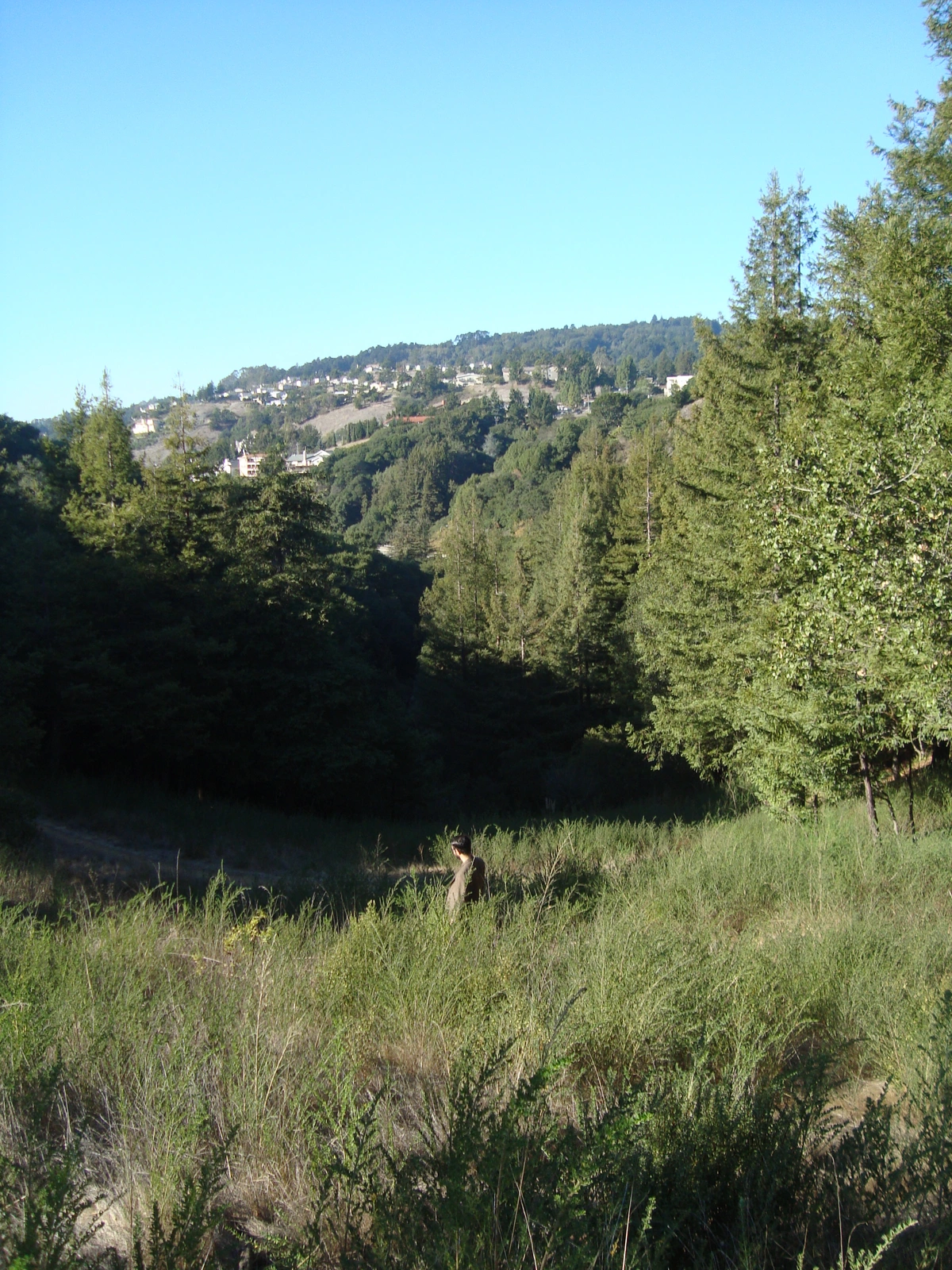 York and McDonell Loop Trail