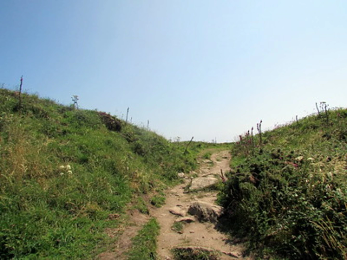 An image depicting the trail Treryn Dinas and Porthcurno Lookout Loop and its surrounding area.