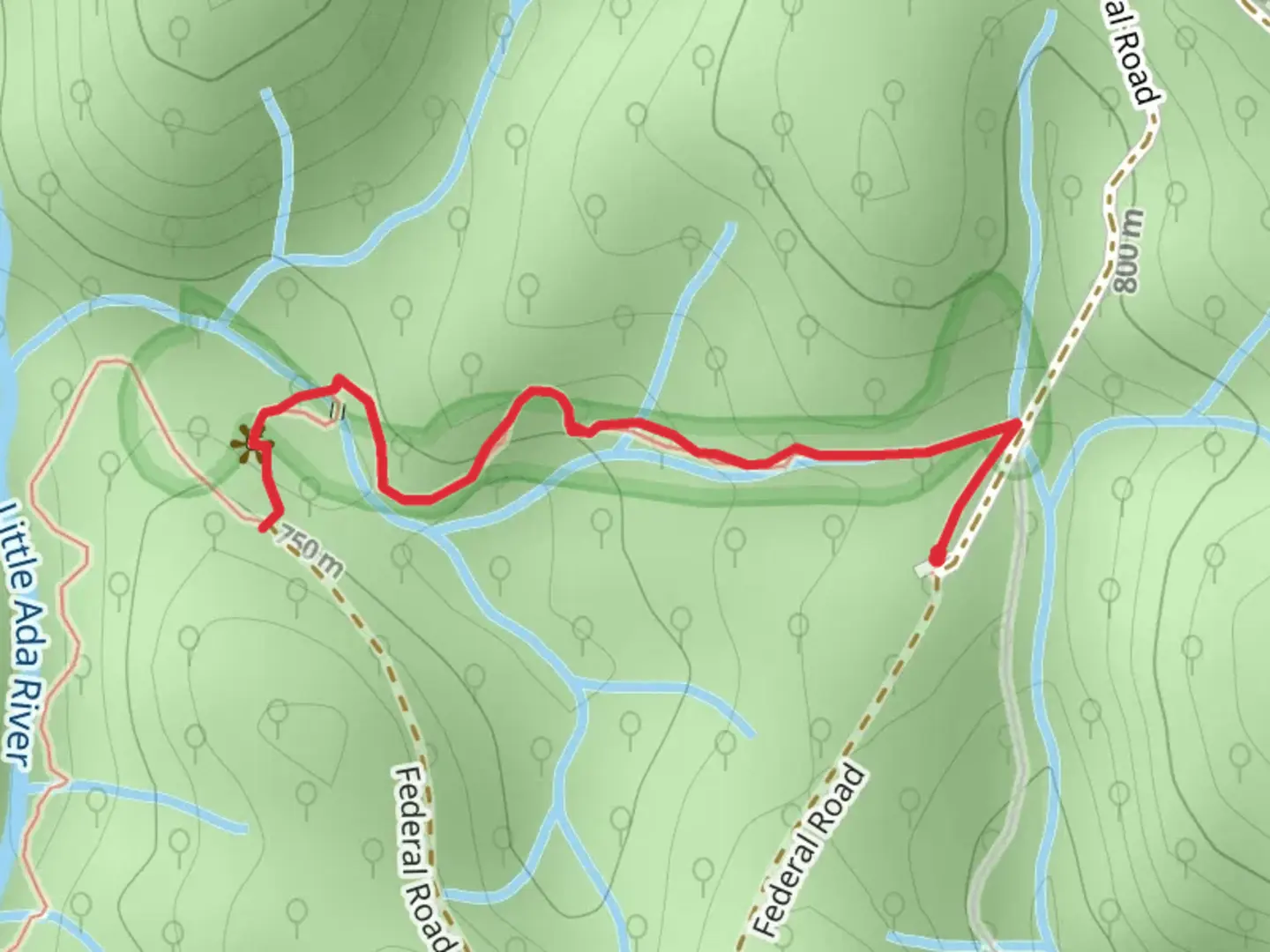 An image depicting the trail Ada Tree Rainforest Walk and its surrounding area.