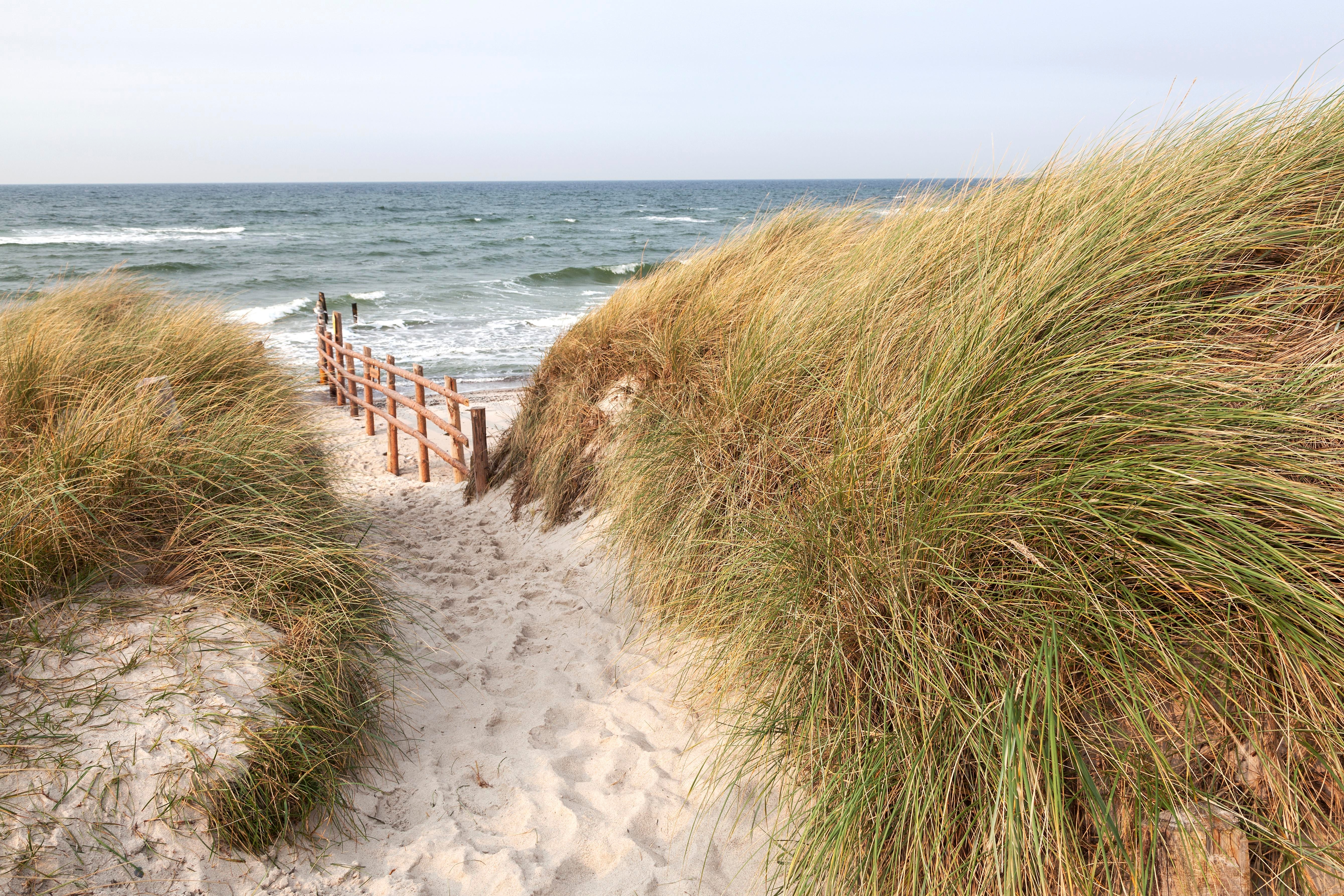 An image depicting the trail Western Pomerania Lagoon Area National Park and its surrounding area.