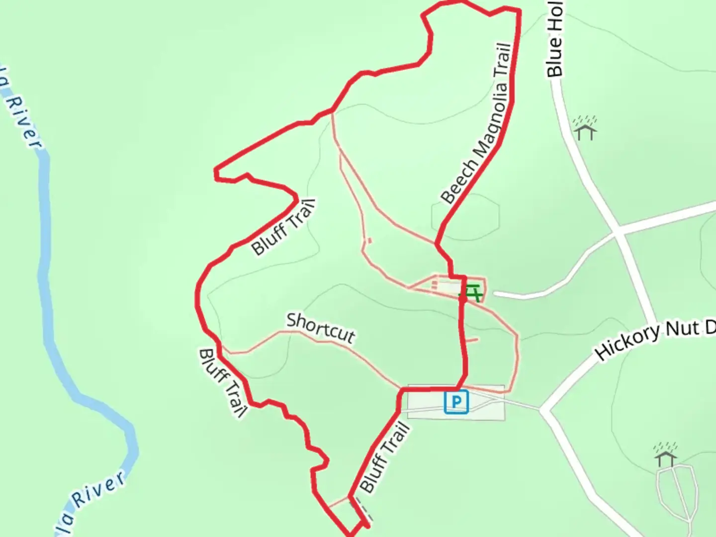 An image depicting the trail Beech Magnolia Loop Trail and its surrounding area.